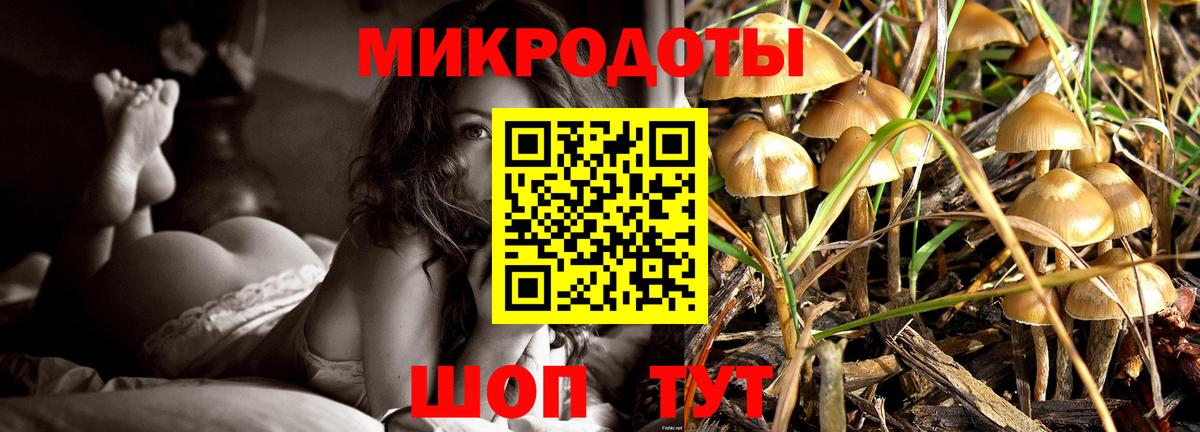 Псилоцибиновые грибы Psilocybe  Вход с VPN  Киров 